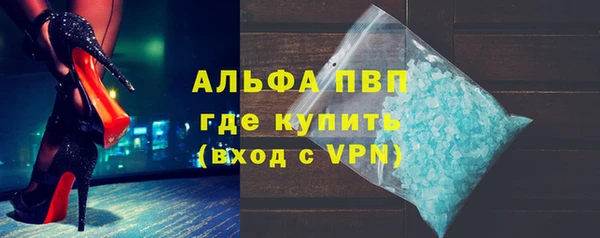 ECSTASY Бородино