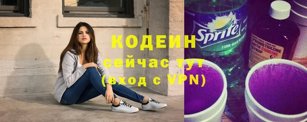 ECSTASY Бородино