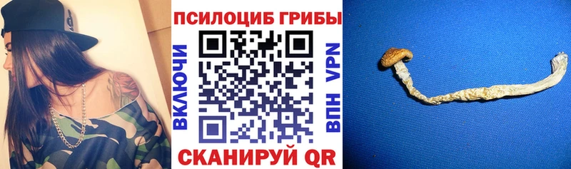Псилоцибиновые грибы Psilocybe  Михайловка 