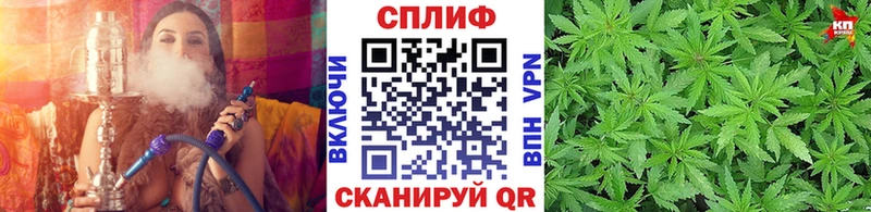 Конопля семена  купить наркоту  Михайловка 